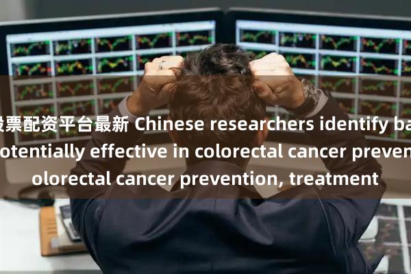 股票配资平台最新 Chinese researchers identify bacterial therapy potentially effective in colorectal cancer prevention, treatment