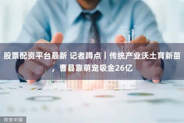 股票配资平台最新 记者蹲点丨传统产业沃土育新苗，曹县靠萌宠吸金26亿
